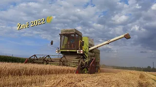 Žně 2022🌾 - Fortschritt E 514 & 2x Zetor 3011, 6911