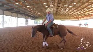 Reining Horse Training: Exercises for Horse That Suck Back in Their Spin with Pete Kyle