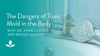 The Dangers of Toxic Mold in the Body with Bridgit Danner