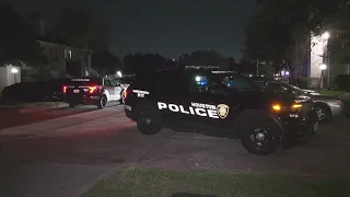 Woman, ex-boyfriend found dead in apparent murder-suicide, Houston police say