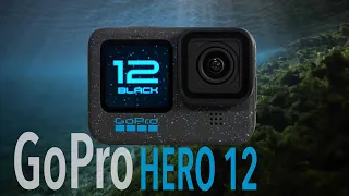 GOPRO HERO 12 Underwater Test - WATCH BEFORE PURCHASING