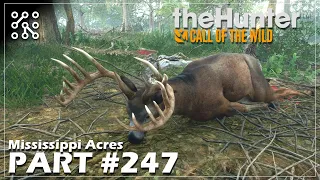 Další hon za DIA trofejí #247 | The Hunter: Call of the wild CZ  | Lets play | Česky