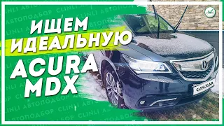 Acura MDX 2014 - поиск идеального варианта. Клинликар Автоподбор