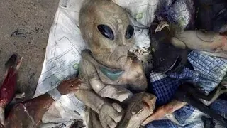 Secret Alien Photos That The Government Doesn't Want You To See