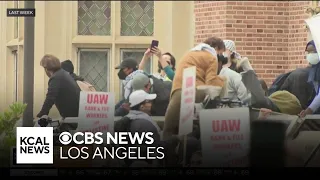 UCLA workers planning walkout over campus's response to Gaza protests