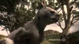 Australia the First four Billion years - Strange creatures