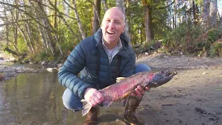 A Dead Salmon at the End of its Migration is a Perfect Package of Nutrients Delivered to the Forest