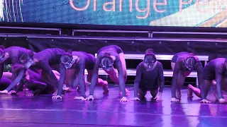 Orange Pelican Festival of modern choreography, Dnepropetrovsk (Ukraine) 2024.