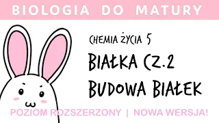 [NOWA WERSJA HQ!] Chemia życia 5 - Białka (proteiny) - budowa białek - biologia do matury liceum