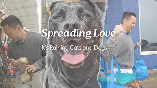 EP 4: Spreading love| It's raining cats and dogs