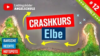 BARSCH + HECHT angeln in der Elbe 🎣  (Crashkurs für Einsteiger)