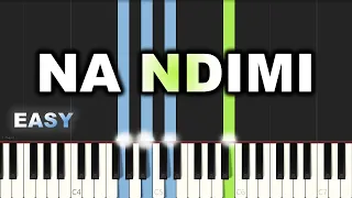 David Ize - Na Ndimi | EASY PIANO TUTORIAL BY Extreme Midi