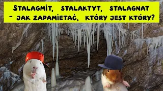 Stalagmit, stalaktyt, stalagnat - rymowanka, która pomoże zapamiętać, który jest który