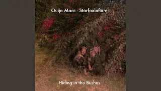 Hiding in the Bushes