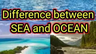Difference between Sea and ocean.