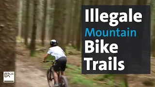 Mountainbiker vs. Waldbesitzer: Immer mehr illegale Trails in den Wäldern | Abendschau | BR24