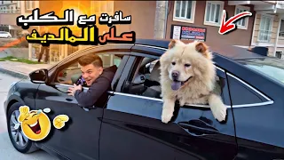 سافرت مع الكلب على المالديف😱محمد تادفي