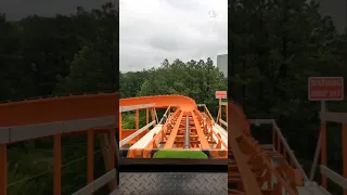 This roller coaster DOESN'T have normal track! 🐊 Reptilian at Kings Dominion #shorts #rollercoaster