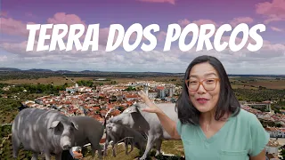 Fomos até a Terra dos Porcos