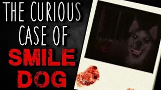 "The Curious Case of Smile Dog" Creepypasta