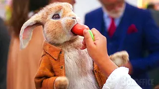 Rabbit Pretends to Be Robot