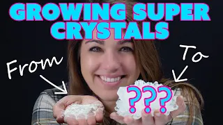 Growing ADP Mega Crystals w/a Geologist