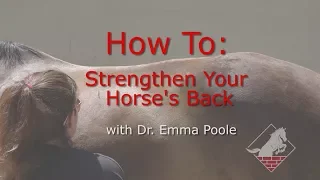 Strengthening Your Horse's Neck, Back and Pelvis- Develop the Topline with Three Easy Exercises