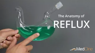 MedCline™ Reflux Relief System - The Anatomy of Reflux