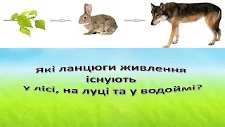 Урок 83. Які ланцюги живлення існують у лісі , на луці та у водоймі? Я досліджую світ 3 клас