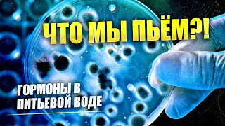 ОСТОРОЖНО❗ Антибиотики и гормоны в ПИТЬЕВОЙ ВОДЕ ❗💉💊 Отвечает Академик Юрий Рахманин | Техногон