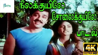 Neela kuyile sola kuyile || நீல குயிலே || Arun Mozhi, Chitra || Love Melody Duet H D Song