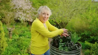 Spring Gardening with Carol Klein🍀Episode 5