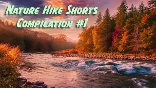 Peaceful Nature Hike | Nature Hiking Shorts Compilation No. 1 | Peace of Mind in the Woods