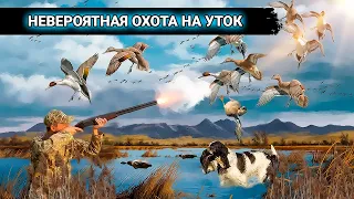 Охота НА УТКУ С СОБАКОЙ (Джек научился подавать). Не успевал перезаряжать ружье.