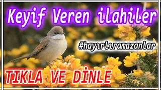 🌹En Güzel İlahiler🌹Karışık Seçme İlahiler🌹Ramazan Ayı Yeni İlahiler🌹Keyif Veren İlahi Dinle🌹