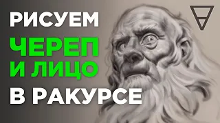 Как рисовать череп и лицо в ракурсе