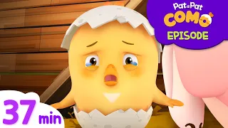 Como Kids TV | I'm Sorry, Tree + More Episodes 37min | Cartoon video for kids