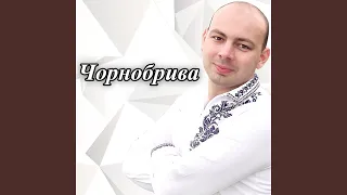 Чорнобрива