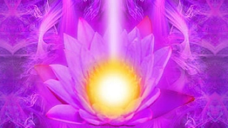 Transmuting Negative Energy | Guided Meditation for Positive Energy | Violet Light