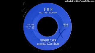 Brenda Kaye Riley - Country Life - Fast Hit 45