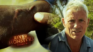 Tracking The Mysterious Tooth And Pack Killer | SPECIAL EPISODE | River Monsters