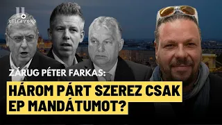 Magyar Péter a politikai rendszer Viszkis Rablója? - Zárug Péter Farkas