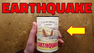 Inside a Dynmo canned earthquake