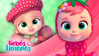 🍓 ELLA ha CRECIDO 🍓 CAPÍTULOS de BFF 💗 BEBES LLORONES 💧 LÁGRIMAS MÁGICAS 💕 DIBUJOS ANIMADOS ESPAÑOL