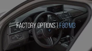 The Options I Chose on my F80 M3 and Why