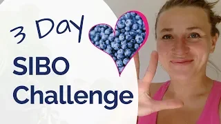 SIBO Diet - The 3 Day Challenge - 3 Power Foods to Start Healing Your SIBO Symptoms FAST & Naturally