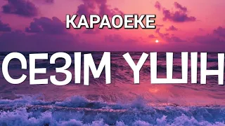 Дариға Бадықова& Олжас Абай- Сезім Үшін (әнінің мәтіні)  текст песни/Караоеке