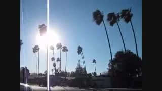 Palm Trees Sway In High Winds Around The Bay Area (12-30-2014)