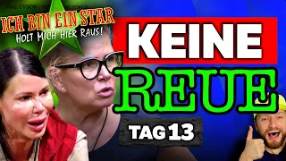 LÄSTERN & LÜGEN! SO FALSCH ist Bolognese-Claudia! CRINGE BRIEFE! Dschungelcamp 2023 Tag 13