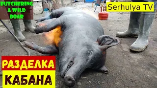 Carcass cutting of a wild boar.  Разделка кабана.  Serhulya TV